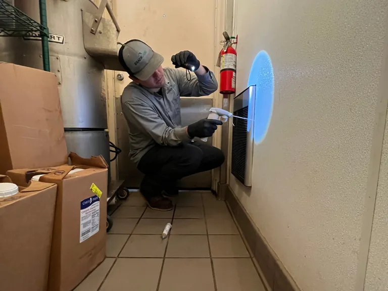 Eradicare technician treating behind kitchen equipment during a restaurant service visit